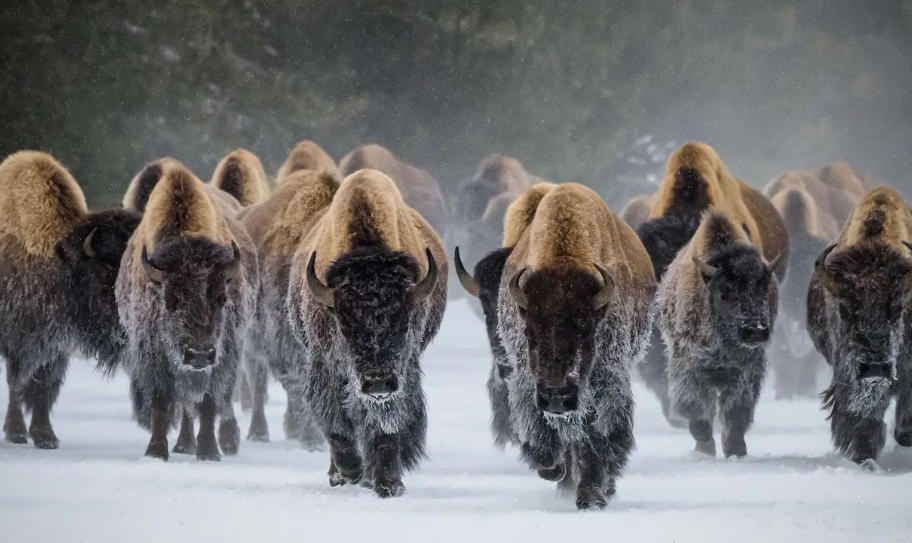 中國企業(yè)網(wǎng)上貿(mào)易公司輪播圖3